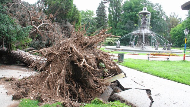 Grazer Stadtpark und Schloßberg: 150 zum Teil mehr als 50 Jahre alte Bäume hat es erwischt, es gab 500 Tonnen an Schadholz. (Bild: Jauschowetz Christian)