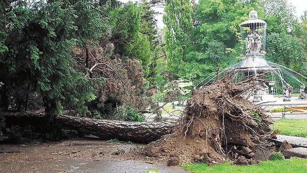 Im Orkan vom 12. Juni verstarb ein Mann im Grazer Stadtpark. (Bild: Juergen Radspieler)