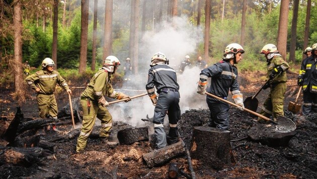 In voller Montur kämpften Feuerwehr-Leute am Schauberg (Niederösterreich) die Glutnester nach einem Waldbrand nieder. (Bild: Einsatzdoku.at)