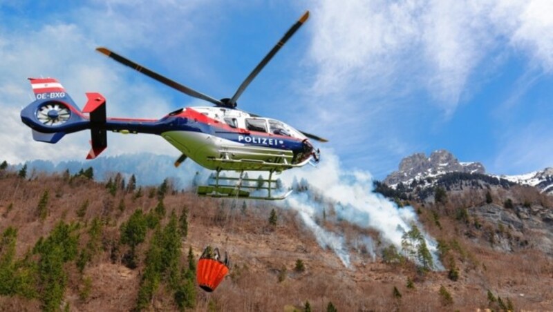 In Innerbranz (Vorarlberg) geriet nahe einer ÖBB-Baustelle ein Waldstück in Brand. Die Polizei unterstützte den Großeinsatz. (Bild: Bernd Hofmeister)
