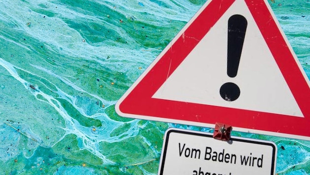 Wegen Blaualgen wird in diesem See vom Baden abgeraten. (Bild: stock.adobe.com, APA/dpa/Julian Stratenschulte, krone.at-Grafik (Symbolbild))