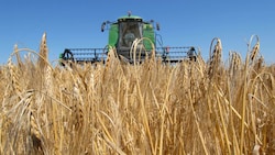 Schon jetzt muss Österreich Getreide importieren. Durch den Krieg steigen die Preise. (Bild: APN)
