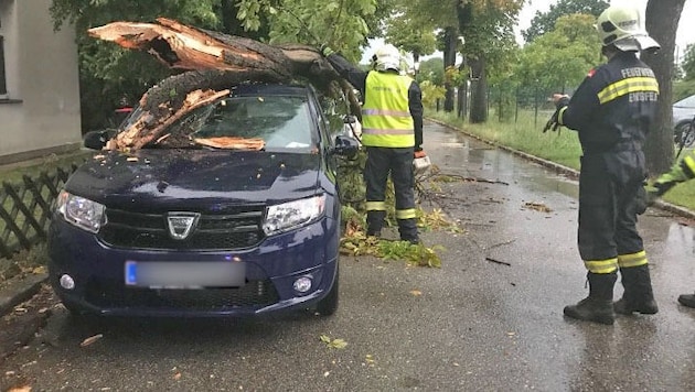 (Bild: FREIWILLIGE FEUERWEHR ENZESFELD)