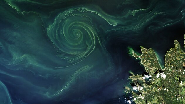 (Bild: NASA Earth Observatory/Landsat, Joshua Stevens)