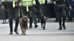 Bei der am Montag eröffneten Konferenz wollen rund 23.000 Teilnehmer einen Plan vereinbaren, um Naturzerstörung und das weltweite Artensterben einzudämmen (Symbolbild). (Bild: AFP)