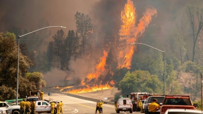 Die Flammen des schrecklichen Carr-Feuers nahe Whiskeytown in Kalifornien ragen viele Meter hoch. (Bild: AFP)