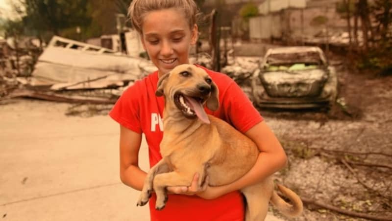 Nach dem Feuer ihres Zuhauses in Redding hat Kambryn Brilz (12) ihren Hund „Zoe“ wieder. Ein Nachbar konnte den Vierbeiner vor den Flammen retten. (Bild: AFP)