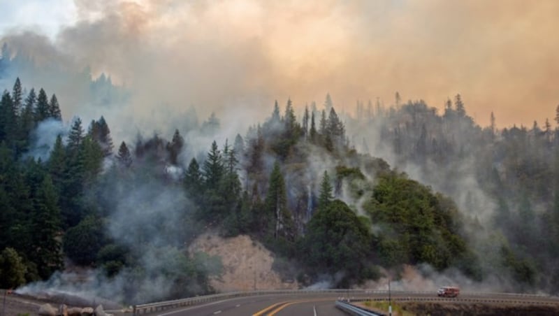 Das Carr-Feuer bei Whiskeytown (Bild: AFP)