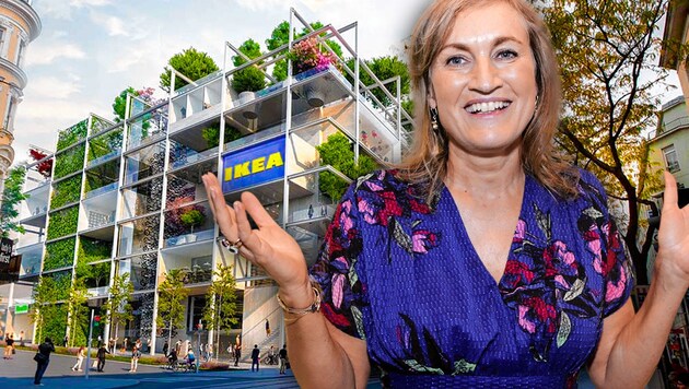 Ikea-Österreich-Chefin Viera Juzova (Bild: IKEA, Klemens Groh, krone.at-Grafik)