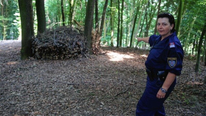 In diesem Wald bei Feldbach stellte „Zorro“ einen Oststeirer, der eine Mutter und ihre Töchter mit einer Keule attackiert hatte. Der heute 55-Jährige - er bekam lebenslang - hatte sich hinter einem aus Ästen gebauten Unterschlupf versteckt. (Bild: Sepp Pail)