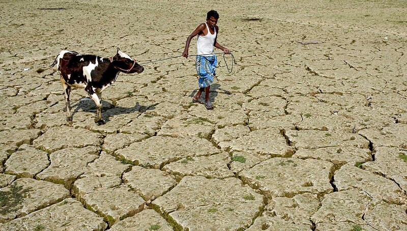 Die Welt, die Brunner in seinem Roman schildert, ist komplett vertrocknet. (Bild: APA/AFP/ARINDAM DEY)