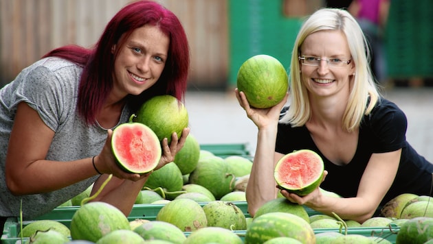 Irene Gombotz und Christa Wonisch, innovative Landwirtinnen aus Straden, mit herrlichen Melonen! (Bild: Krone)