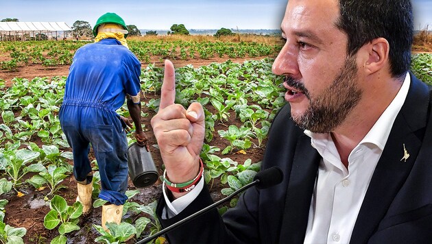 „Der Einsatz gegen die Mafia, gegen die Schwarzarbeit und gegen die illegale Migration sind Prioritäten dieses Kabinetts“: Innenminister Matteo Salvini (Bild: AFP, stock.adobe.com, krone.at-Grafik)