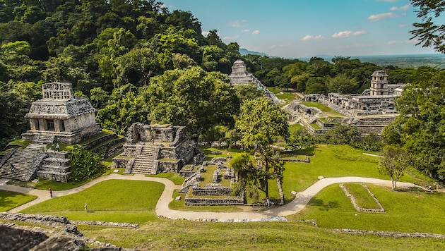 Die archäologische Fundstätte Palenque im mexikanischen Bundesstaat Chiapas (Bild: adolfousier/stock.adobe.com)