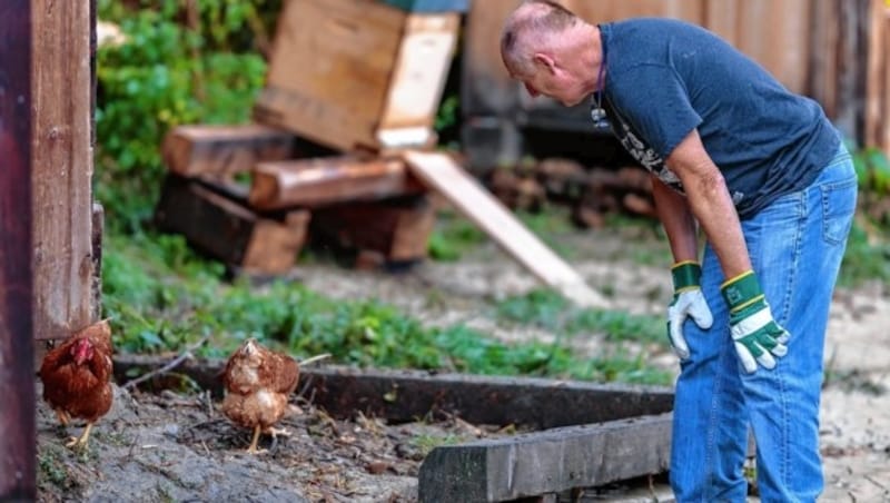 „Meine Hühner waren waschelnass, aber wohlauf“, berichtete Sepp Mitterer. (Bild: EXPA)