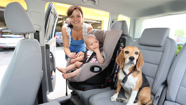 Bei den derzeitigen Temperaturen sind schon 15 Minuten im geschlossenen Auto für ein Kind oder ein Tier lebensgefährlich. (Bild: Reinhard Judt)