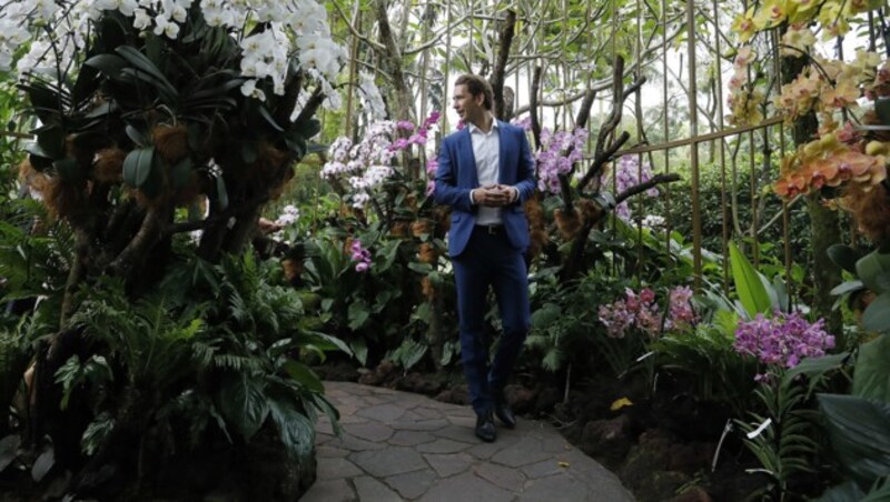 Bundeskanzler Sebastian Kurz besichtigt den botanischen Garten von Singapur. (Bild: APA/BUNDESKANZLERAMT/DRAGAN TATIC)