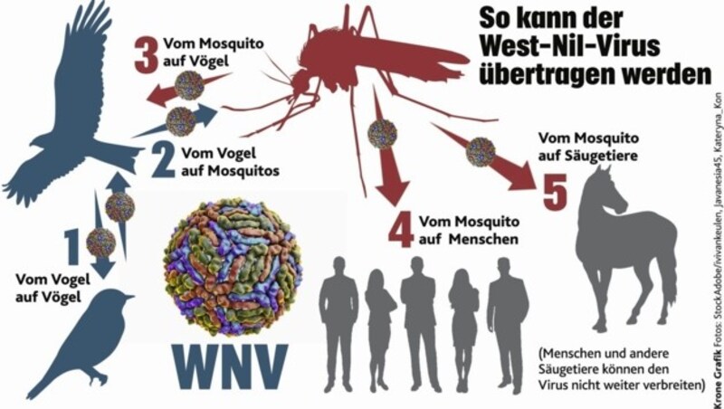 (Bild: Krone Grafik)