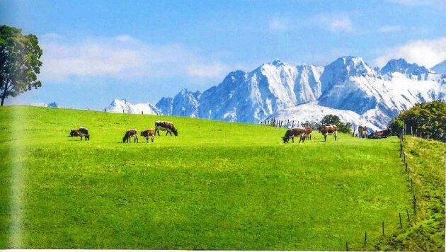 Alpine Landschaft im Pinzgau gut für Nutztierhaltung. (Bild: auphoto)