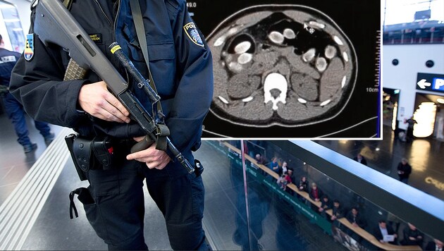 Auf dem CT-Bild erkennt man die zahlreichen Kokain-Päckchen im Körper der Schmugglerin. (Bild: APA/GEORG HOCHMUTH, BMI, krone.at-Grafik)