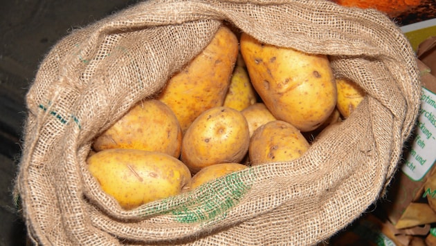 In der Landwirtschaft klagt man über liegen gebliebene Kartoffel. (Bild: Kronen Zeitung)