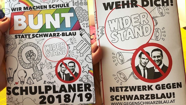 (Bild: FPÖ, krone.at-Grafik)