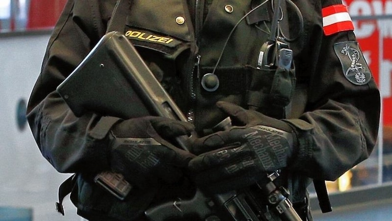 Steyr assault rifles are also used by the police. (Bild: Reinhard Holl)