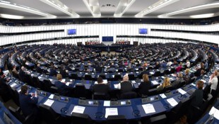 Das Europaparlament in Straßburg (Archivbild) (Bild: APA/AFP/Frederick Florin)