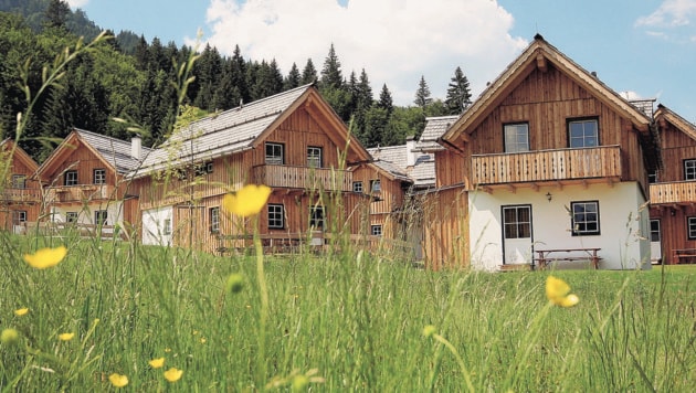 Das Hüttendorf Hagan Lodge in Altaussee (Bild: AlpenParks Hotels & Residences/Mirja Geh)