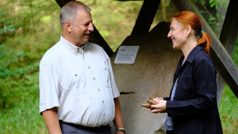 „Dauerwald, in dem Bäume aller Altersgruppen stehen, ist im Klimawandel stabiler“, sagt Johannes Wohlmacher zu Elisabeth Rathenböck. (Bild: Horst Einöder)