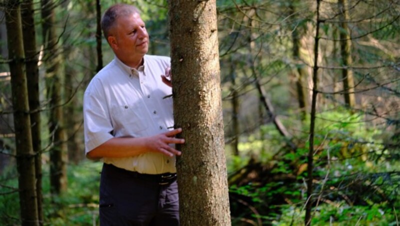 „Ich gehe regelmäßig durch den Wald und schau’, mir die Fichten genau an. Nur so haben wir das Problem Borkenkäfer im Griff.“ (Bild: Horst Einöder)