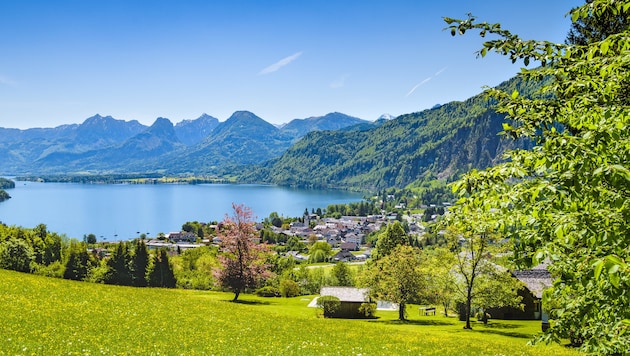 Wolfgangsee (Bild: ©auergraphics - stock.adobe.com)