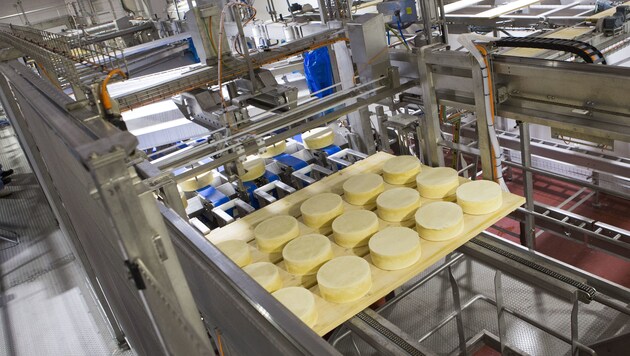 Die Käse-Produktion - hier ein Bild aus dem Werk in Geinberg - wird bei der Berglandmilch immer wichtiger. (Bild: Alois Furtner)