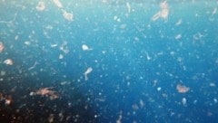 (Bild: stock.adobe.com)