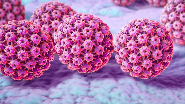 Virus del papiloma humano (VPH) (Bild: Kateryna_Kon/stock.adobe.com)