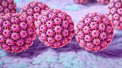 Humanen Papillomviren (HPV) (Bild: Kateryna_Kon/stock.adobe.com)