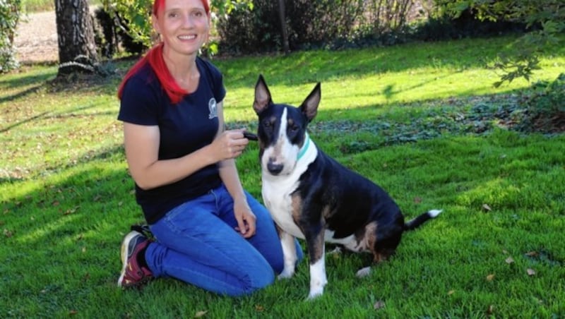 Tierschutzpreis des Landes Steiermark 2018 - 
 im Bild Bullterrier in Not Österreich - Obfrau Andrea Radl-Krois 8280 Fürstenfeld Mühlbreitenstraße 60c (Bild: Juergen RadspielerJürgen Radspieler)