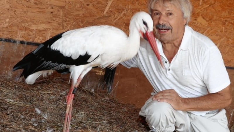 Tierschutzpreis des Landes Steiermark 2018 
 im Bild Storchenverein - Tierliebhaber Obmann Helmut Rosenthaler 8430 Tillmitsch Dorfstraße 104 (Bild: Juergen RadspielerJürgen Radspieler)