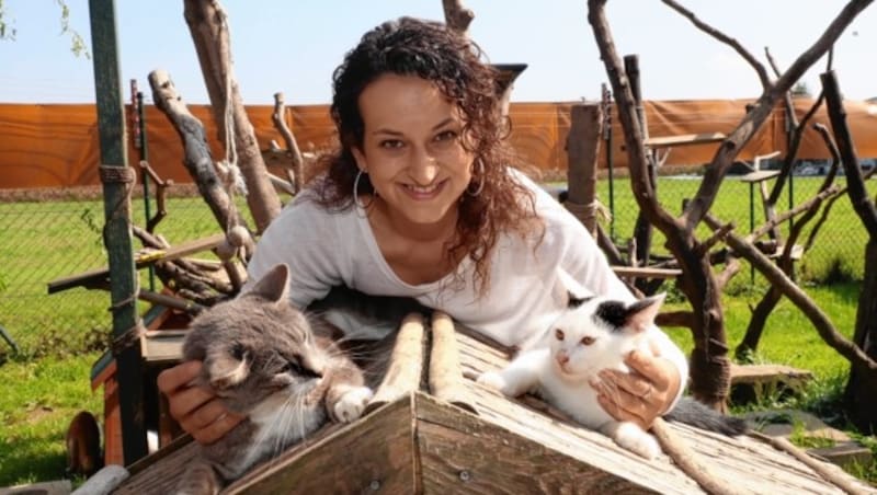 Tierschutzpreis des Landes Steiermark 2018 
 im Bild Katzenhoffnung Steiermark Obfrau Bettina Bernadowitsch 8565 Söding St. Johann o. H. 20/a (Bild: Juergen RadspielerJürgen Radspieler)