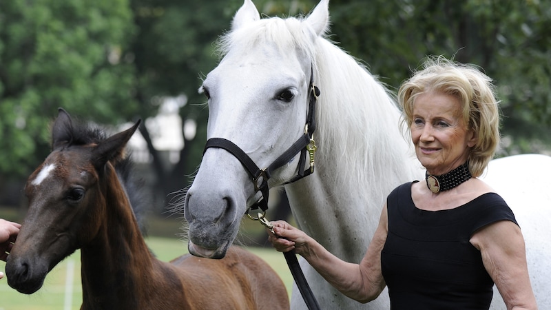 Elisabeth Gürtler (Bild: APA/Herbert Pfarrhofer)