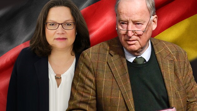 SPD-Chefin Andrea Nahles und AfD-Chef Alexander Gauland (Bild: stock.adobe.com, AP, AFP/John Macdougal, krone.at-Grafik)