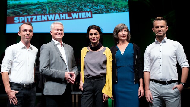 Die Kandidaten für die Spitzenwahl der Wiener Grünen (Bild: APA/GEORG HOCHMUTH)