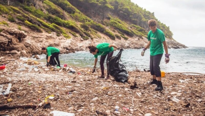 Greenpeace-Helfer sammeln engagiert Müll. (Bild: Greenpeace)