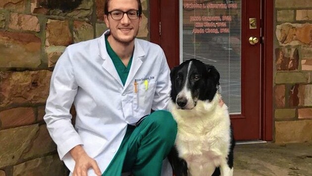 Tierarzt Jesse Gasparro adoptierte „Scout“. (Bild: Flanders Vetenary Clinic)