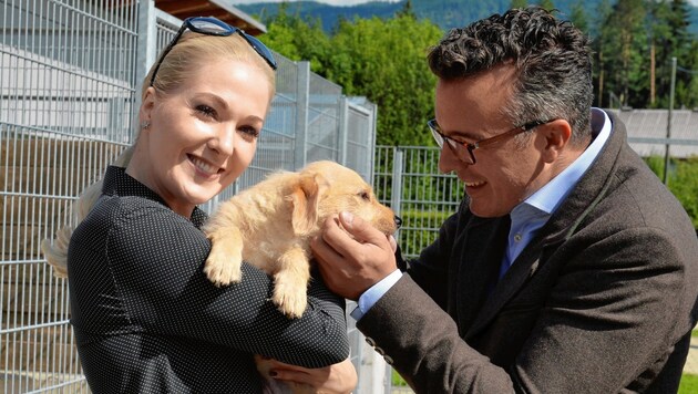 Kathrin Glock und Gernot Darmann setzen sich für Tiere ein. (Bild: Studiohorst/GHPC)