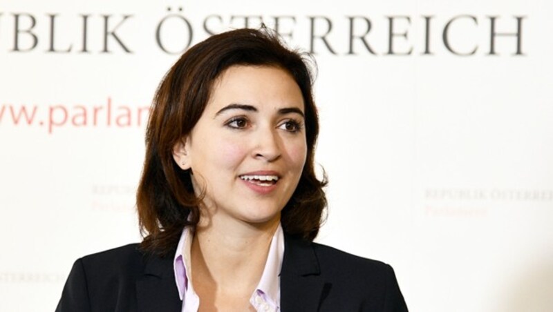 Alma Zadic (Bild: APA/Hans Punz)