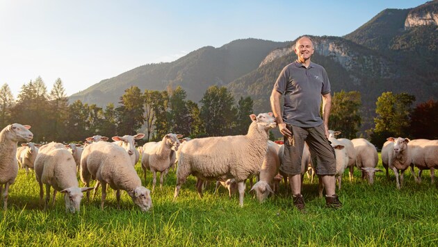 Bio-Landwirt Sepp Eisl mit seinen geliebten Schafen in Abersee vor der Traumkulisse des Salzkammerguts. (Bild: Timo Jaworr)