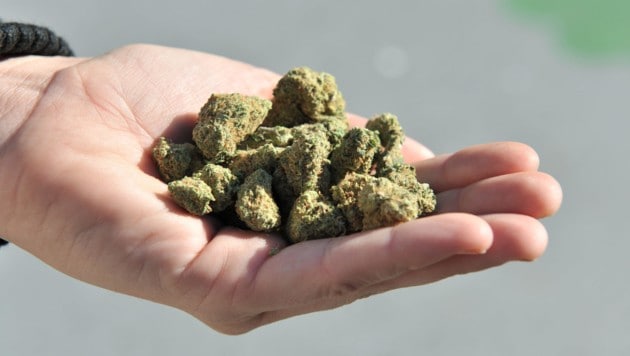 In einer Wohnung fanden die Beamten 50 Gramm Cannabis (Symbolbild). (Bild: AFP (Symbolbild))