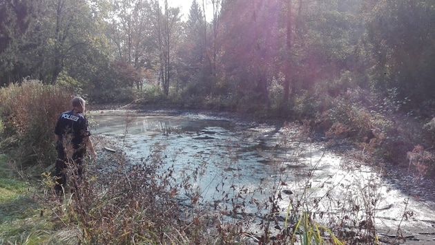 In diesem Teich im Rieder Stadtpark wurden die fünf Rohrbomben entdeckt (Bild: Polizei OÖ)