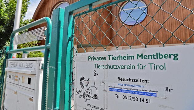 Der Tierschutzverein für Tirol schätzt die offene Kommunikation in der Arbeitsgruppe. (Bild: Christof Birbaumer)